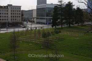 Domaine Rigot_Pepinire urbaine_Tram des Nations