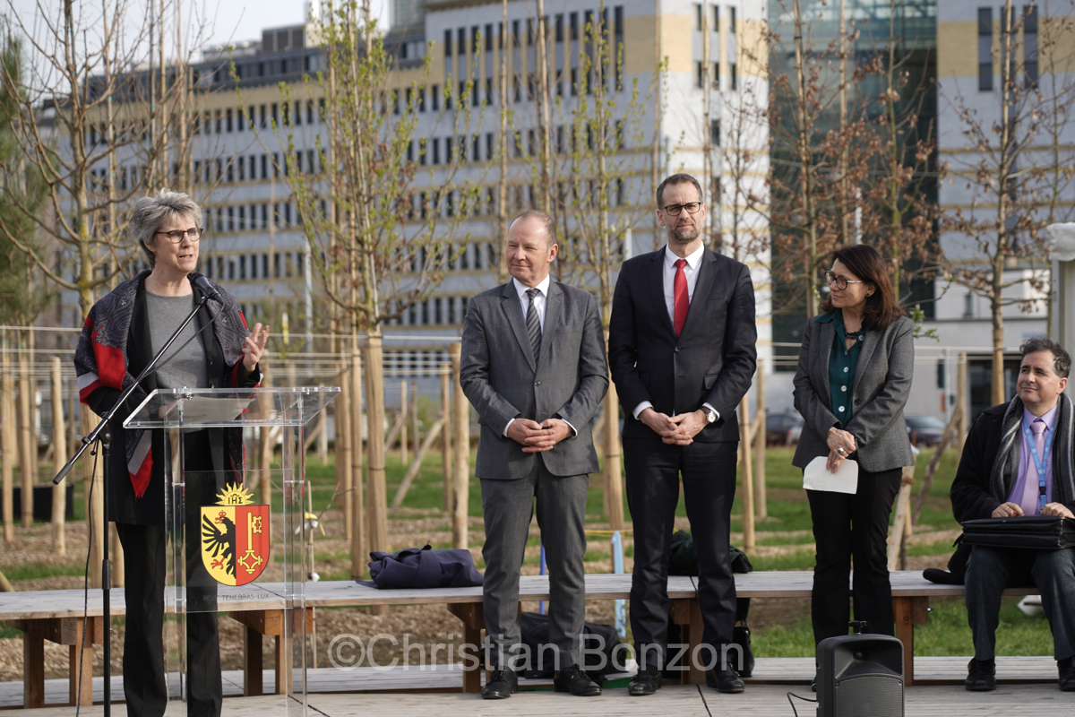 Domaine Rigot_Pepinire urbaine_Tram des Nations