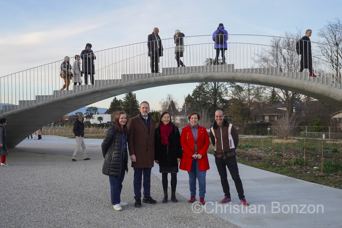 Beautiful Bridge