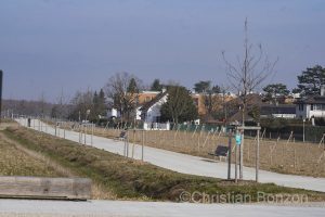 Le parc des Molliers Bernex(GE)