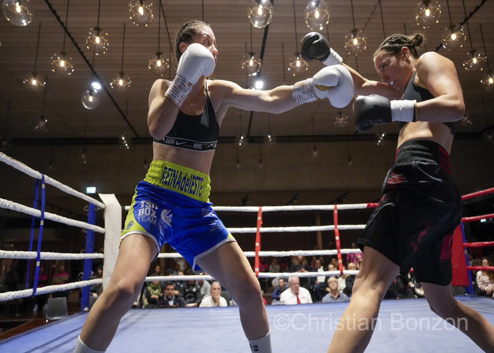 Fete de la Boxe_carouge