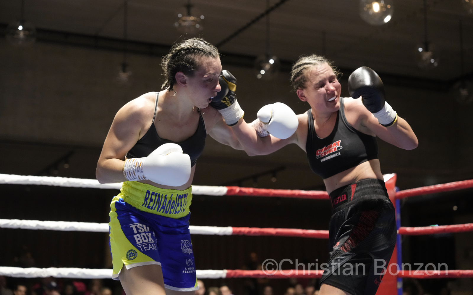 Fete de la Boxe_carouge