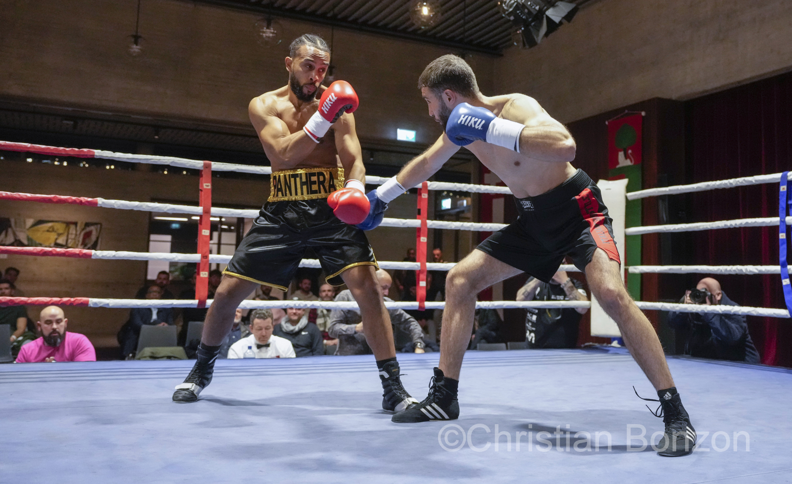 Fete de la Boxe_carouge