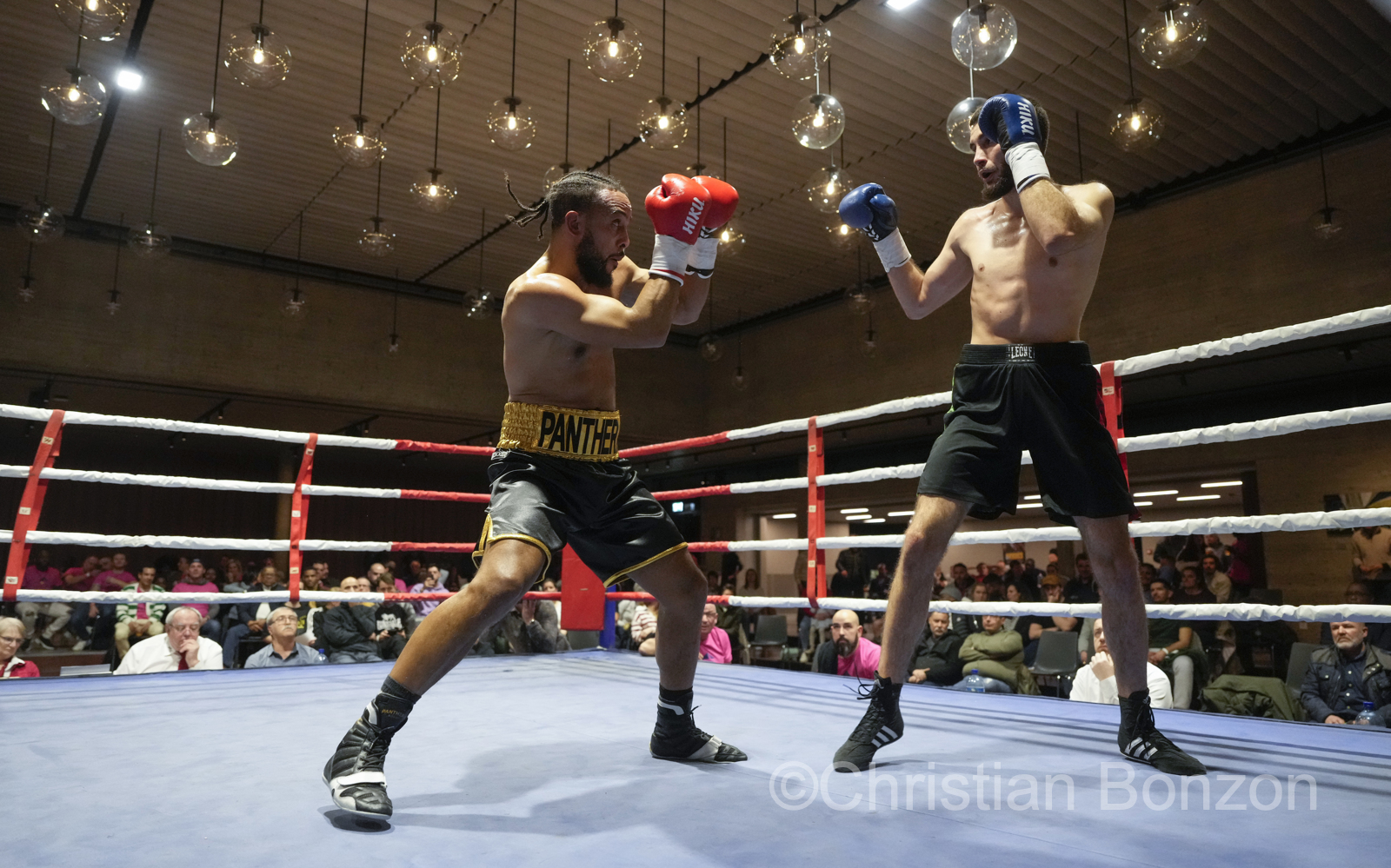 Fete de la Boxe_carouge