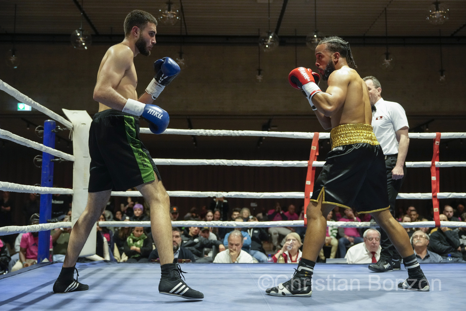 Fete de la Boxe_carouge