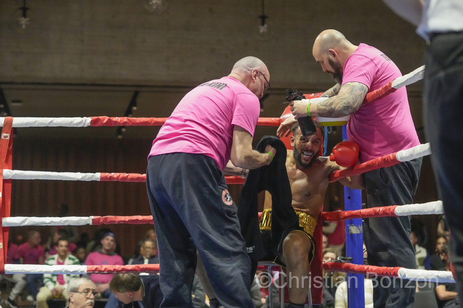 Fete de la Boxe_carouge