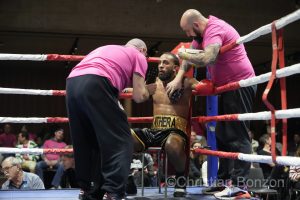 Fete de la Boxe_carouge