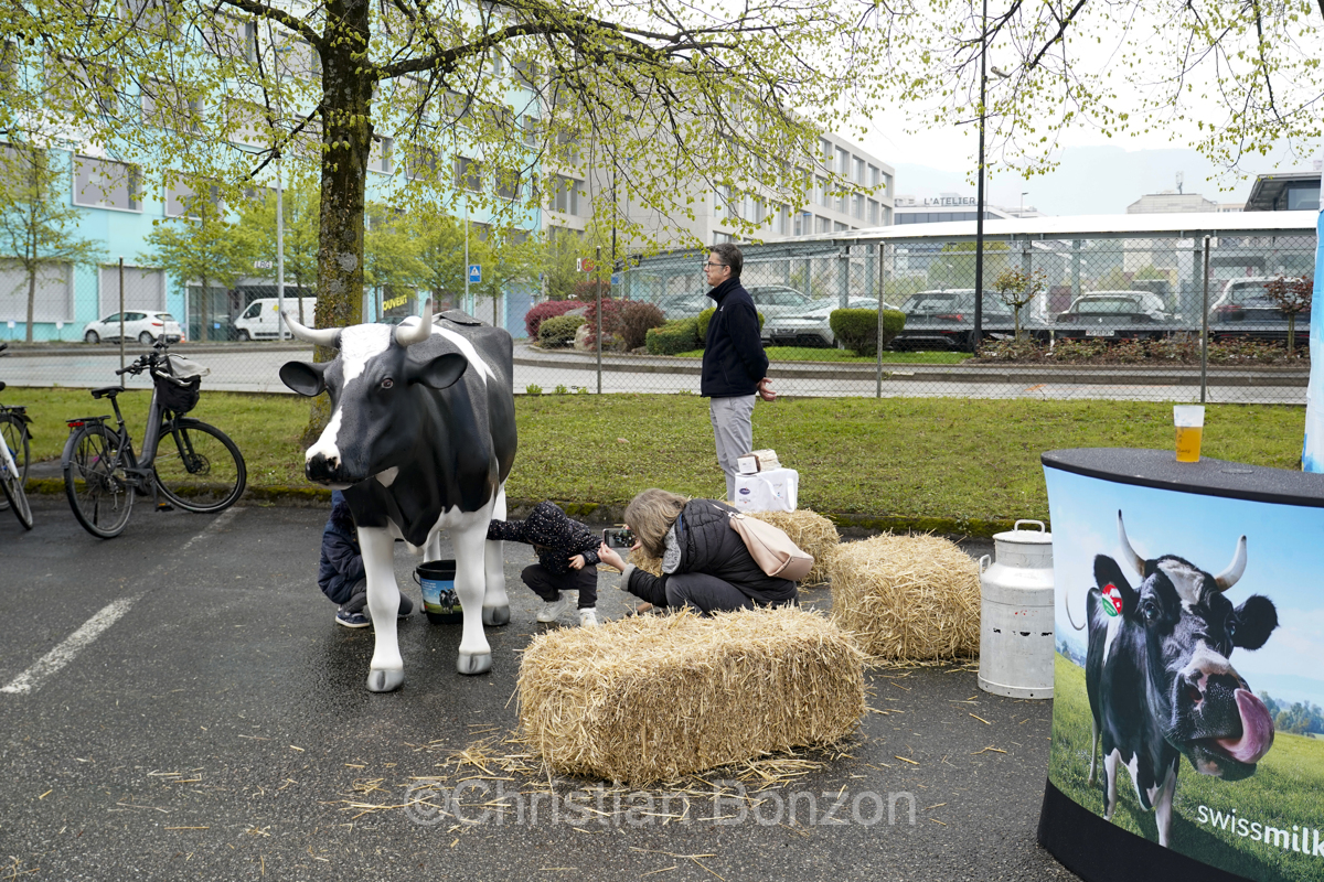 Stade Fontenette Carouge_SERVETTE FCCF - FC AARAU FRAUEN