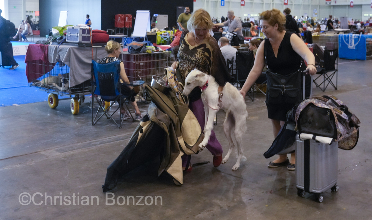 World Dog Show 2023 Palexpo(GE) 24 au 27 aout 2023Grand Prix de Geneve