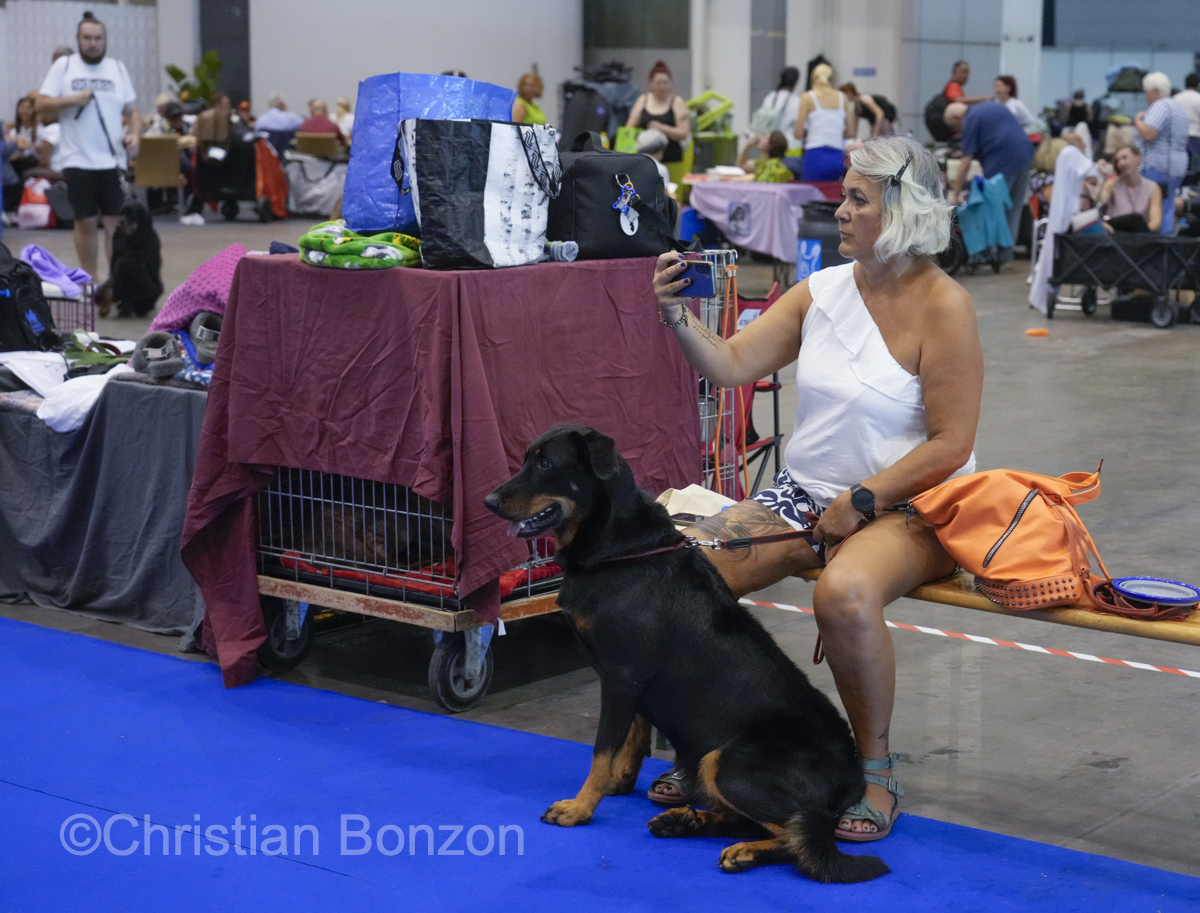 World Dog Show 2023 Palexpo(GE) 24 au 27 aout 2023Grand Prix de Geneve
