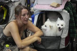 World Dog Show 2023 Palexpo(GE) 24 au 27 aout 2023Grand Prix de Geneve