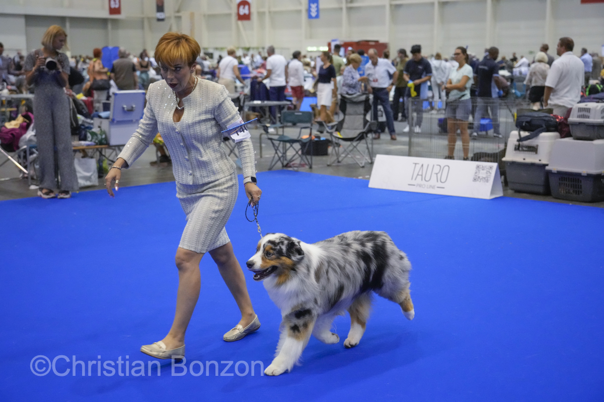 World Dog Show 2023 Palexpo(GE) 24 au 27 aout 2023Grand Prix de Geneve