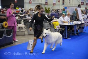 World Dog Show 2023 Palexpo(GE) 24 au 27 aout 2023Grand Prix de Geneve