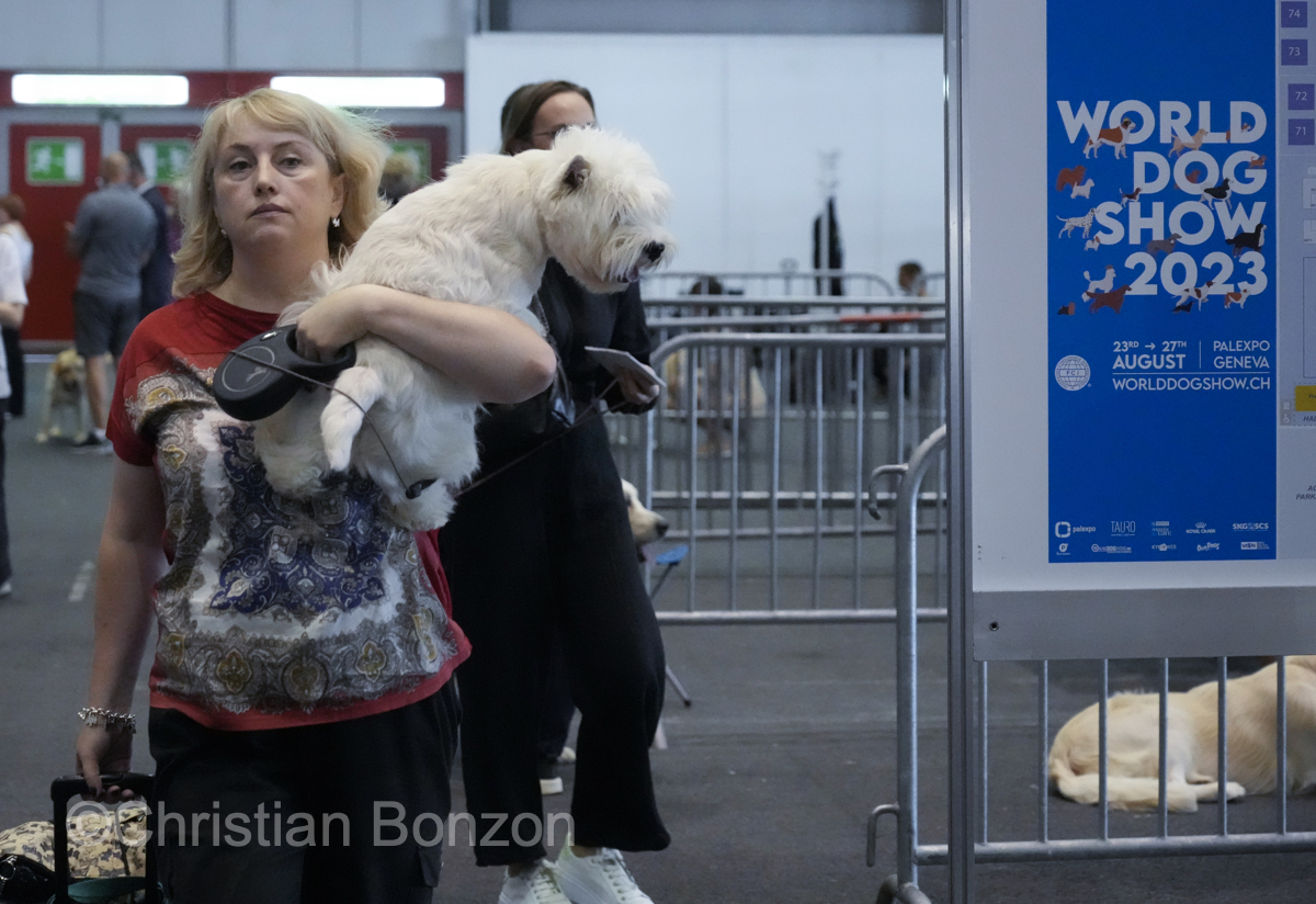 World Dog Show 2023 Palexpo(GE) 24 au 27 aout 2023Grand Prix de Geneve