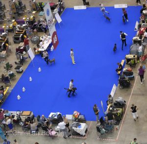 World Dog Show 2023 Palexpo(GE) 24 au 27 aout 2023Grand Prix de Geneve