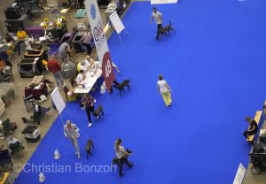 World Dog Show 2023 Palexpo(GE) 24 au 27 aout 2023Grand Prix de Geneve