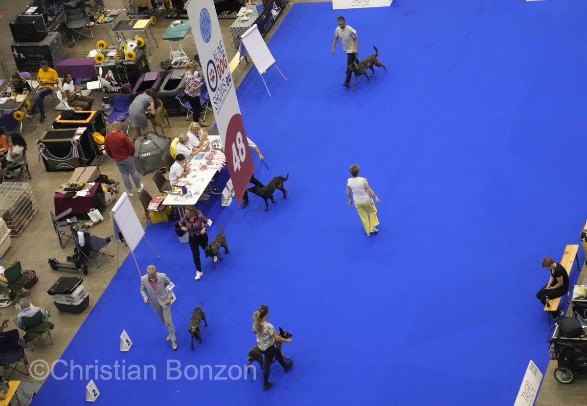 World Dog Show 2023 Palexpo(GE) 24 au 27 aout 2023Grand Prix de Geneve
