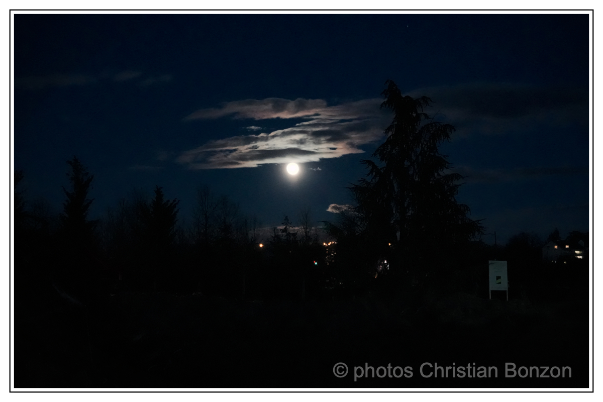 Revolte agricole suisse_«Feu de protestation pour l’agriculture»