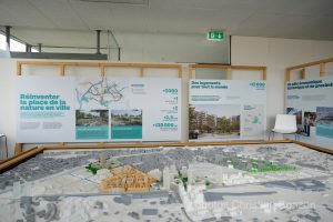 Remise a ciel ouvert de la Drize dans les secteurs Etoile et Acacias