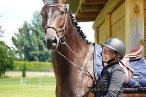 Concours dÕEquitation de Travail Bellevue(GE)