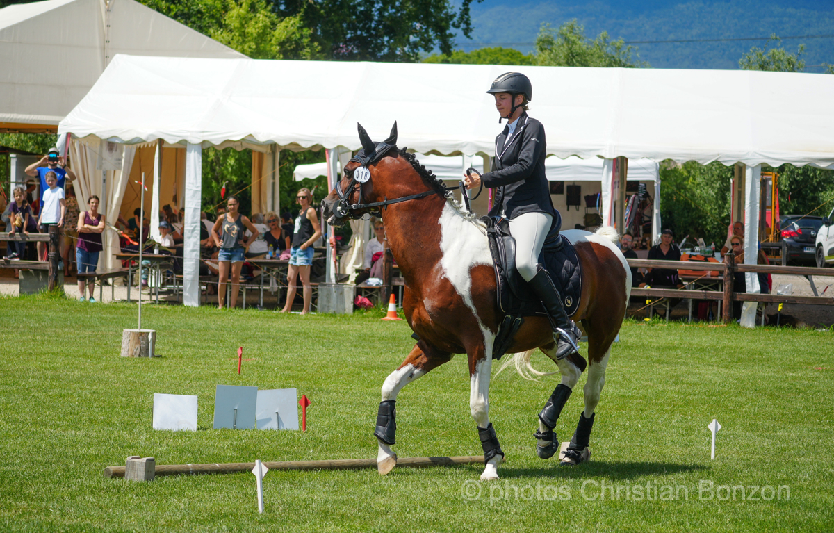 Concours dÕEquitation de Travail Bellevue(GE)