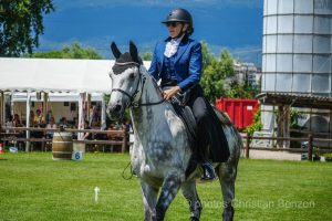 Concours dÕEquitation de Travail Bellevue(GE)