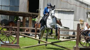 Concours dÕEquitation de Travail Bellevue(GE)