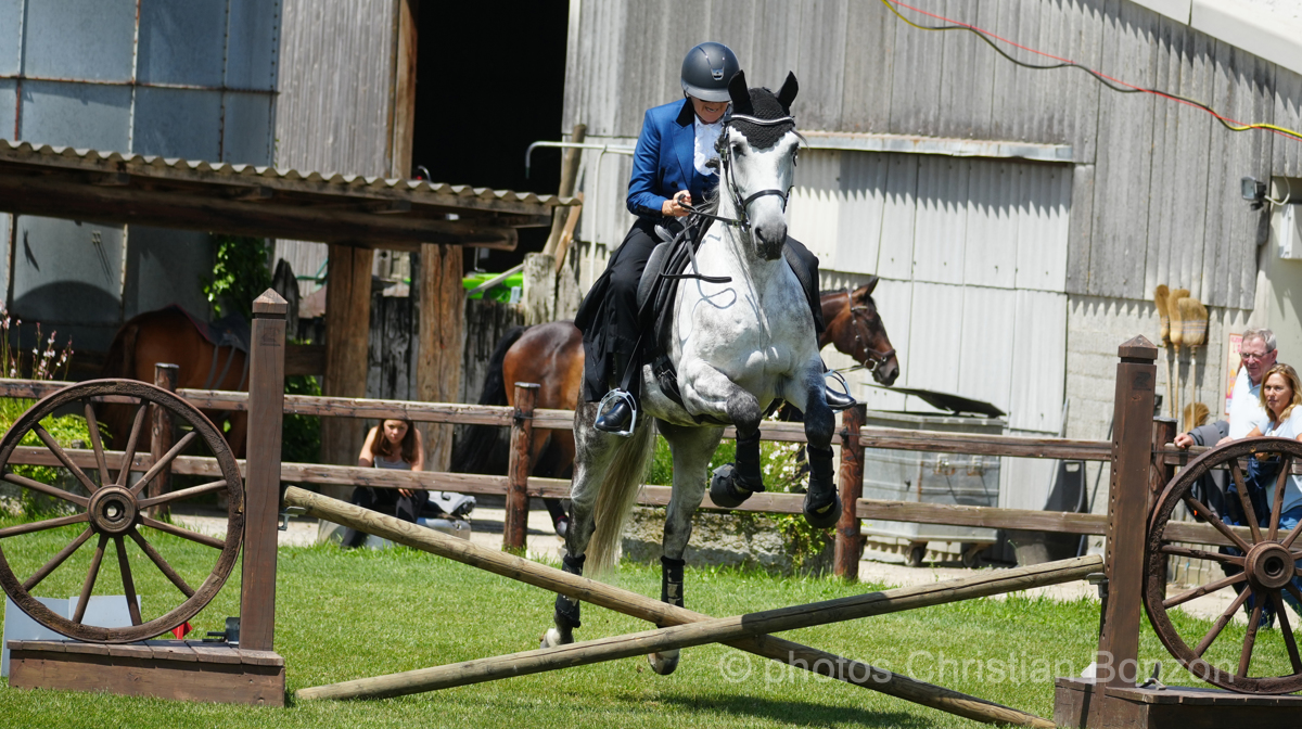 Concours dÕEquitation de Travail Bellevue(GE)