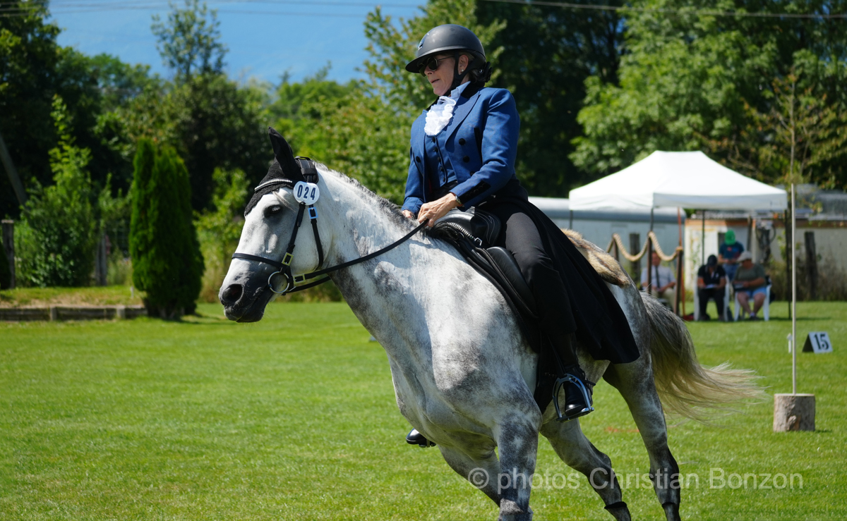 Concours dÕEquitation de Travail Bellevue(GE)