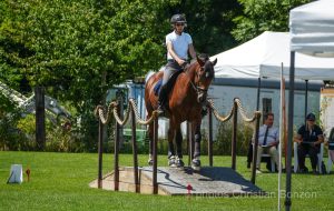 Concours dÕEquitation de Travail Bellevue(GE)