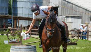 Concours dÕEquitation de Travail Bellevue(GE)