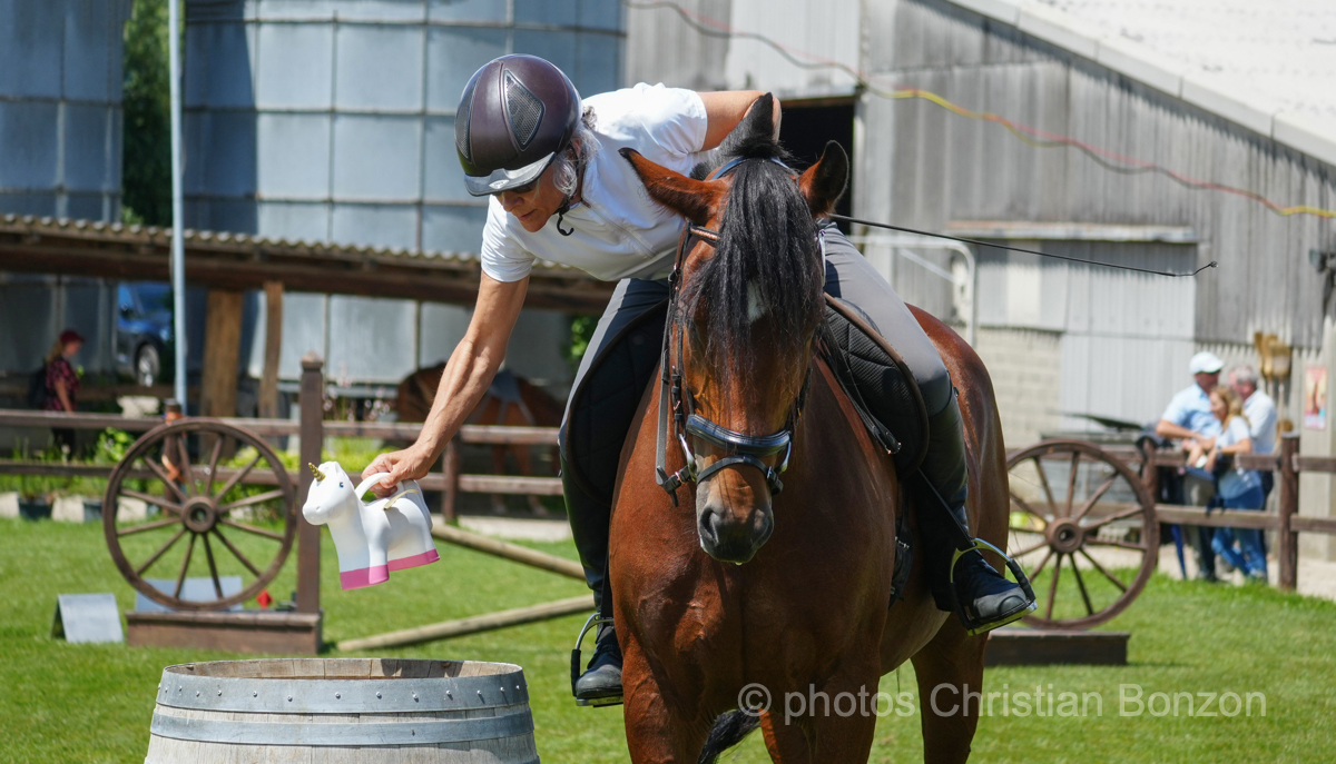 Concours dÕEquitation de Travail Bellevue(GE)