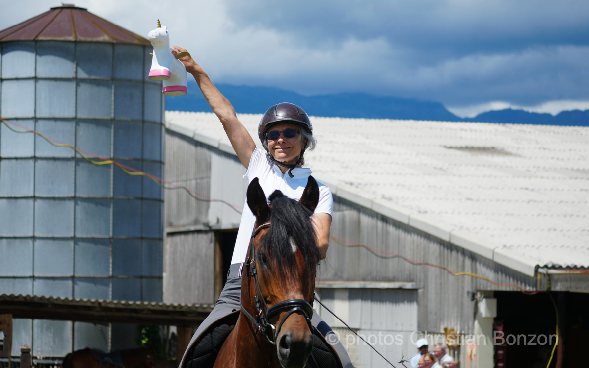 Concours dÕEquitation de Travail Bellevue(GE)