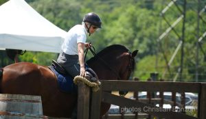 Concours dÕEquitation de Travail Bellevue(GE)