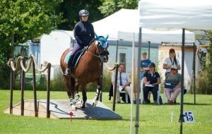 Concours dÕEquitation de Travail Bellevue(GE)