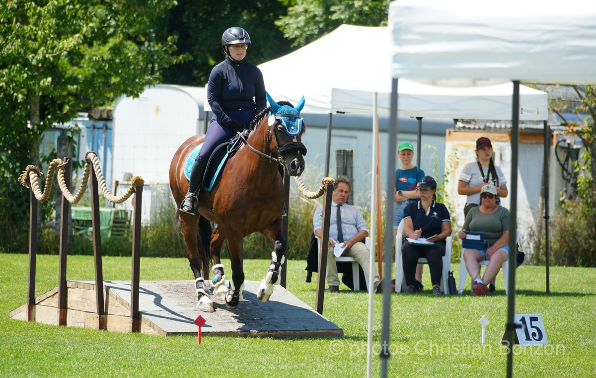Concours dÕEquitation de Travail Bellevue(GE)
