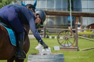 Concours d’Equitation de Travail Bellevue(GE)