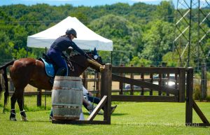 Concours dÕEquitation de Travail Bellevue(GE)