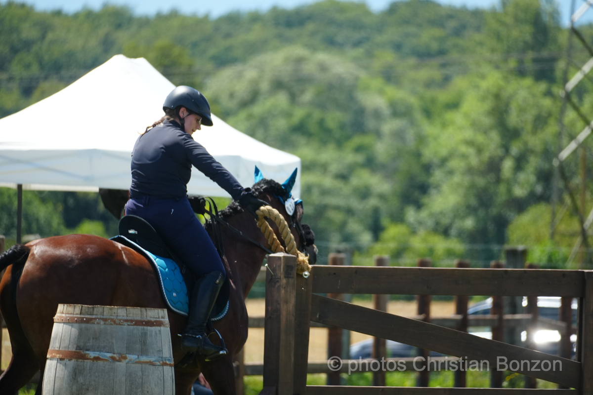 Concours dÕEquitation de Travail Bellevue(GE)