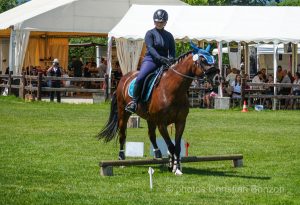 Concours d’Equitation de Travail Bellevue(GE)