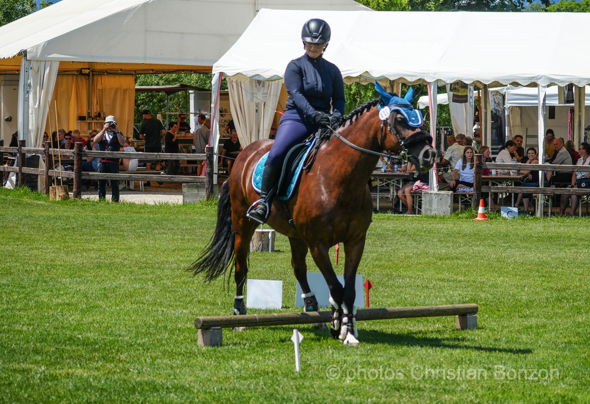 Concours d’Equitation de Travail Bellevue(GE)