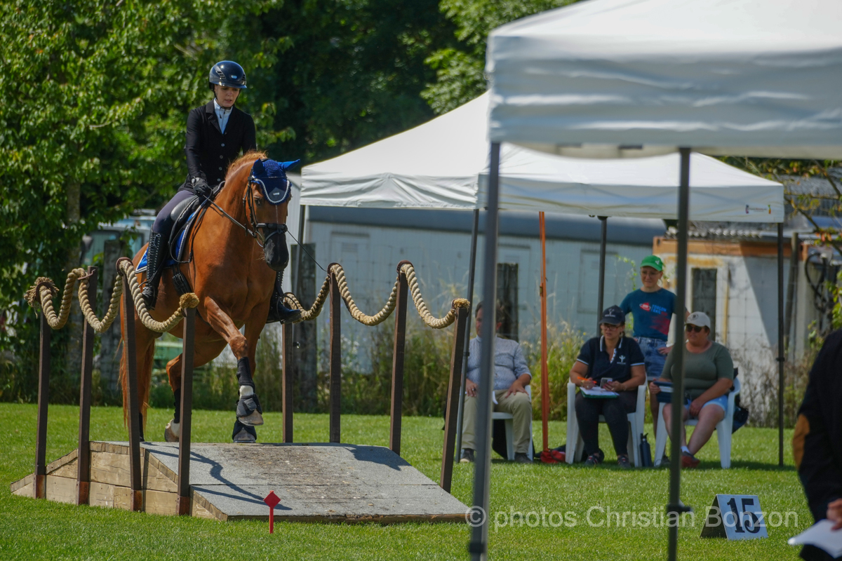 Concours dÕEquitation de Travail Bellevue(GE)