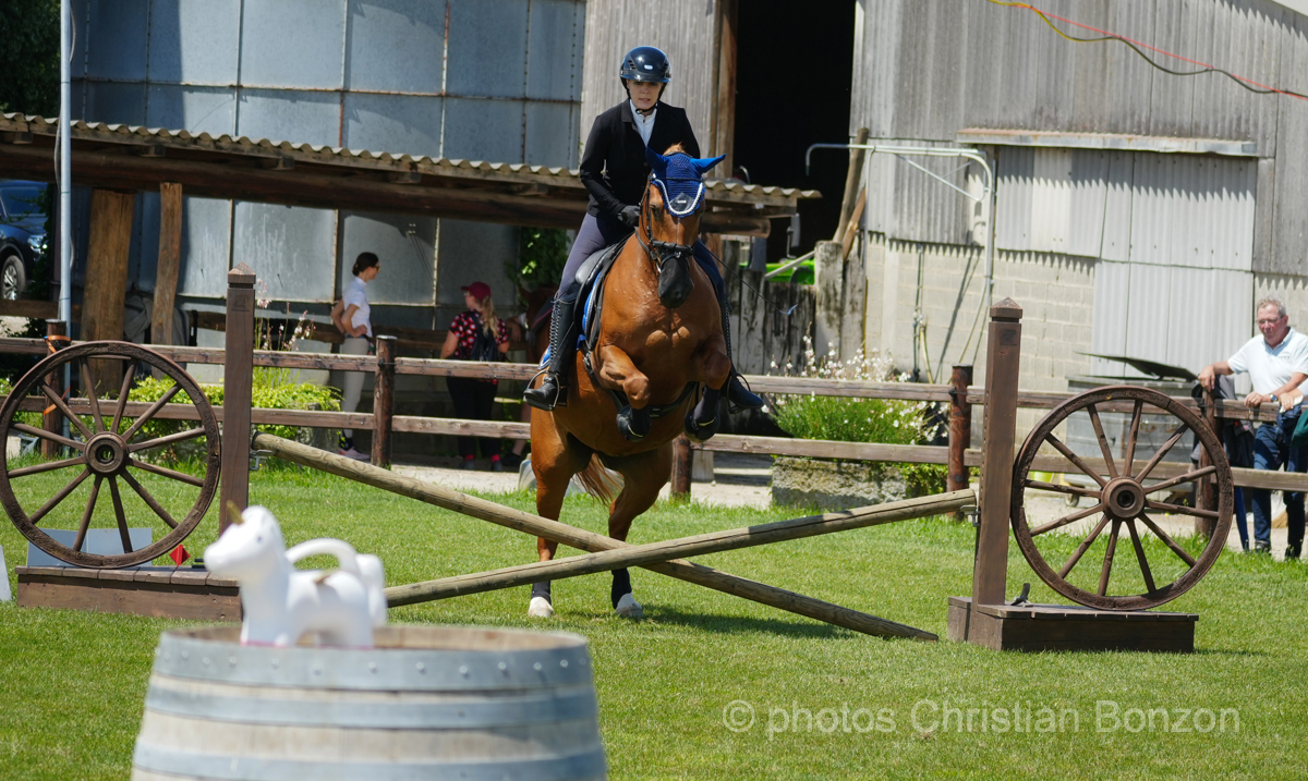 Concours dÕEquitation de Travail Bellevue(GE)