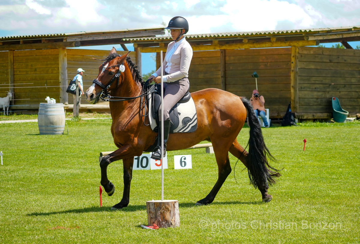 Concours dÕEquitation de Travail Bellevue(GE)