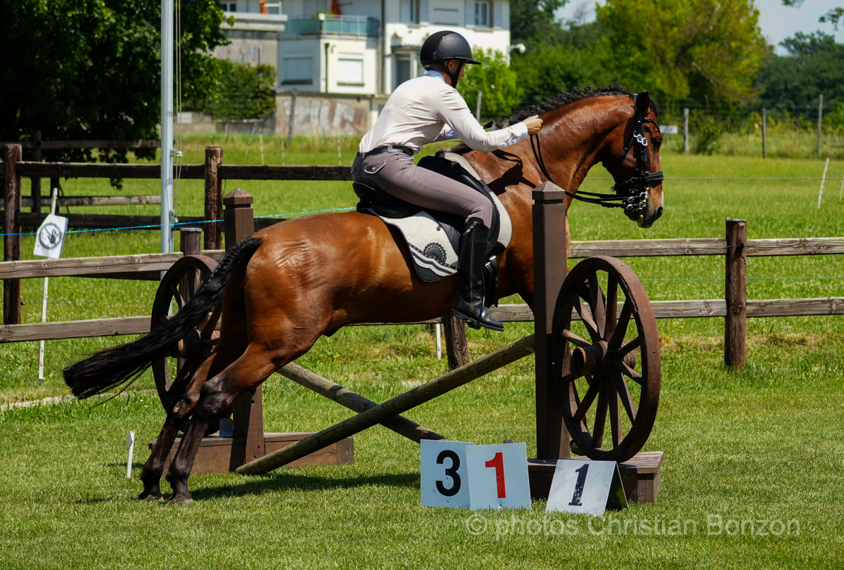 Concours dÕEquitation de Travail Bellevue(GE)