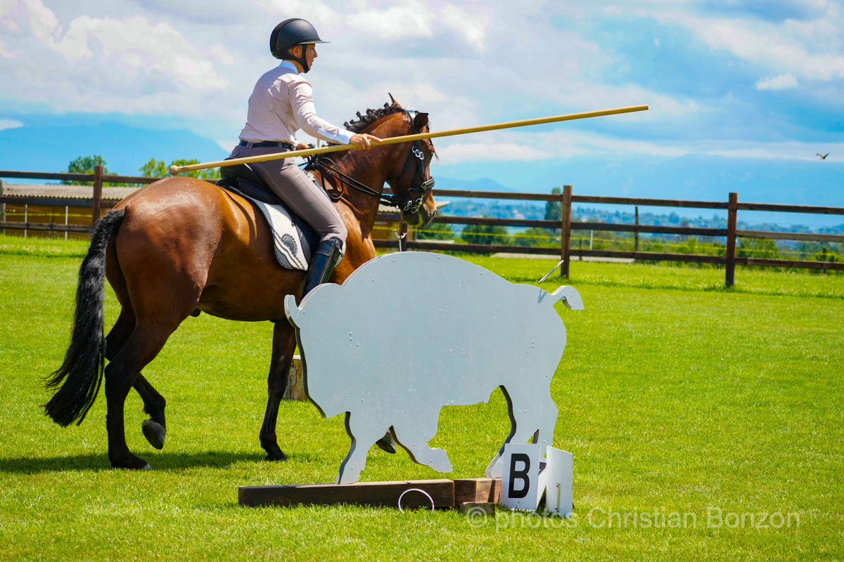 Concours dÕEquitation de Travail Bellevue(GE)