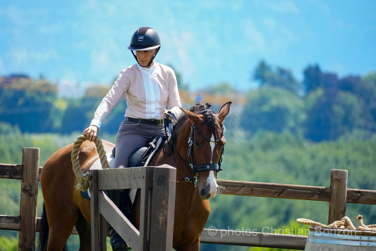 Concours d’Equitation de Travail Bellevue(GE)