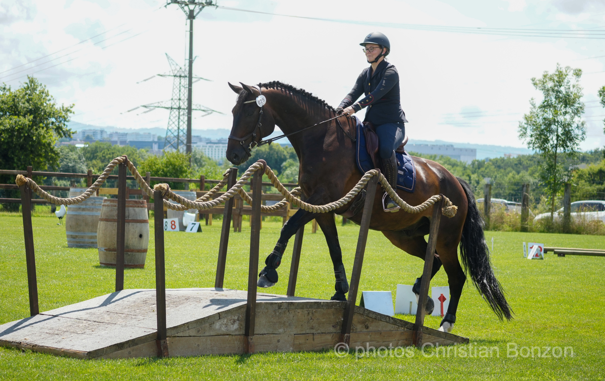 Concours dÕEquitation de Travail Bellevue(GE)