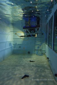 Prestattion serment des policiers 2024