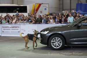 Prestattion serment des policiers 2024